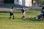 C-Elephants  0020_resize
